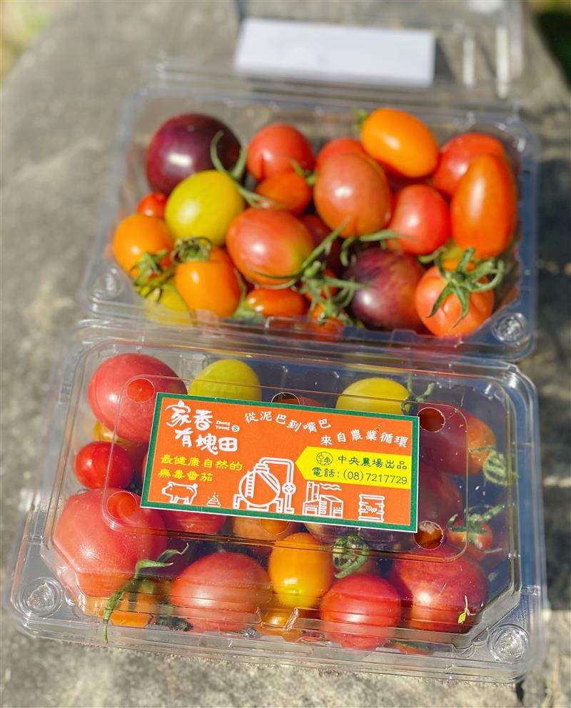 有機彩色小番茄2盒入-免運,家香豬,中央畜產