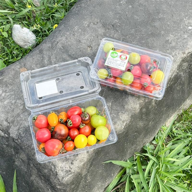 《有機彩色小番茄-2盒入》🍅🥰,家香豬,中央畜產