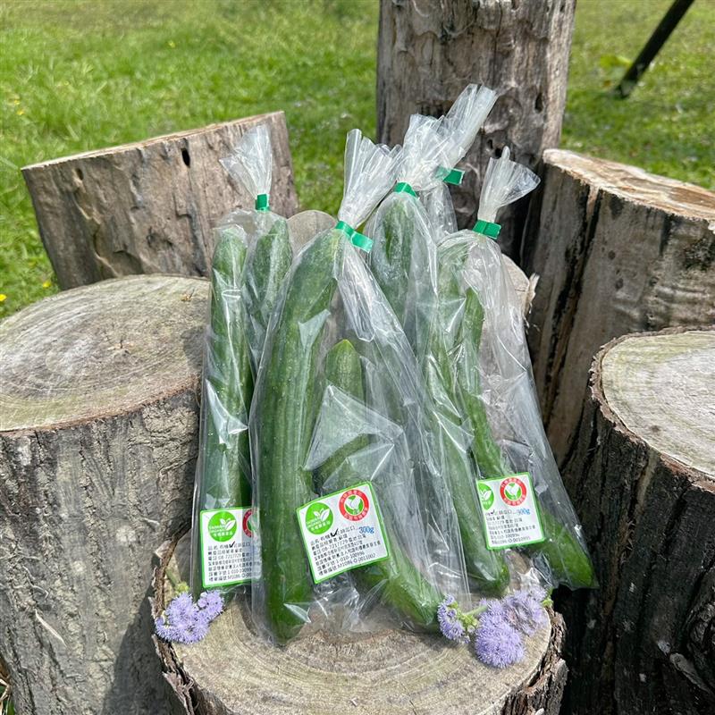 溫室有機小黃瓜(大箱),家香豬,中央畜產