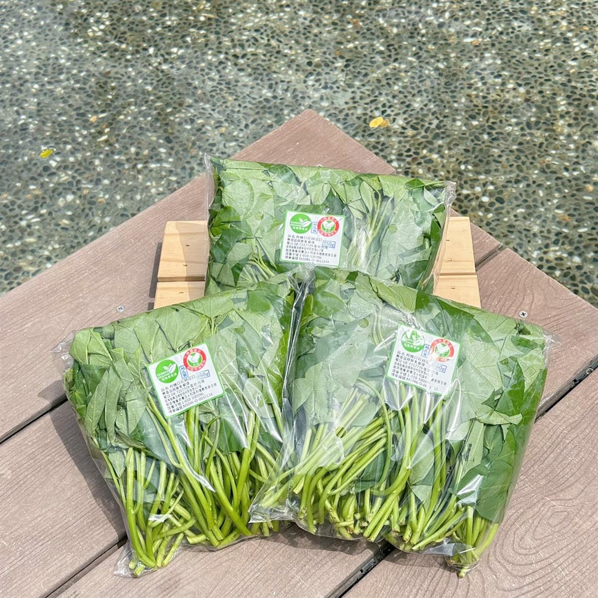 家香豬,中央畜產